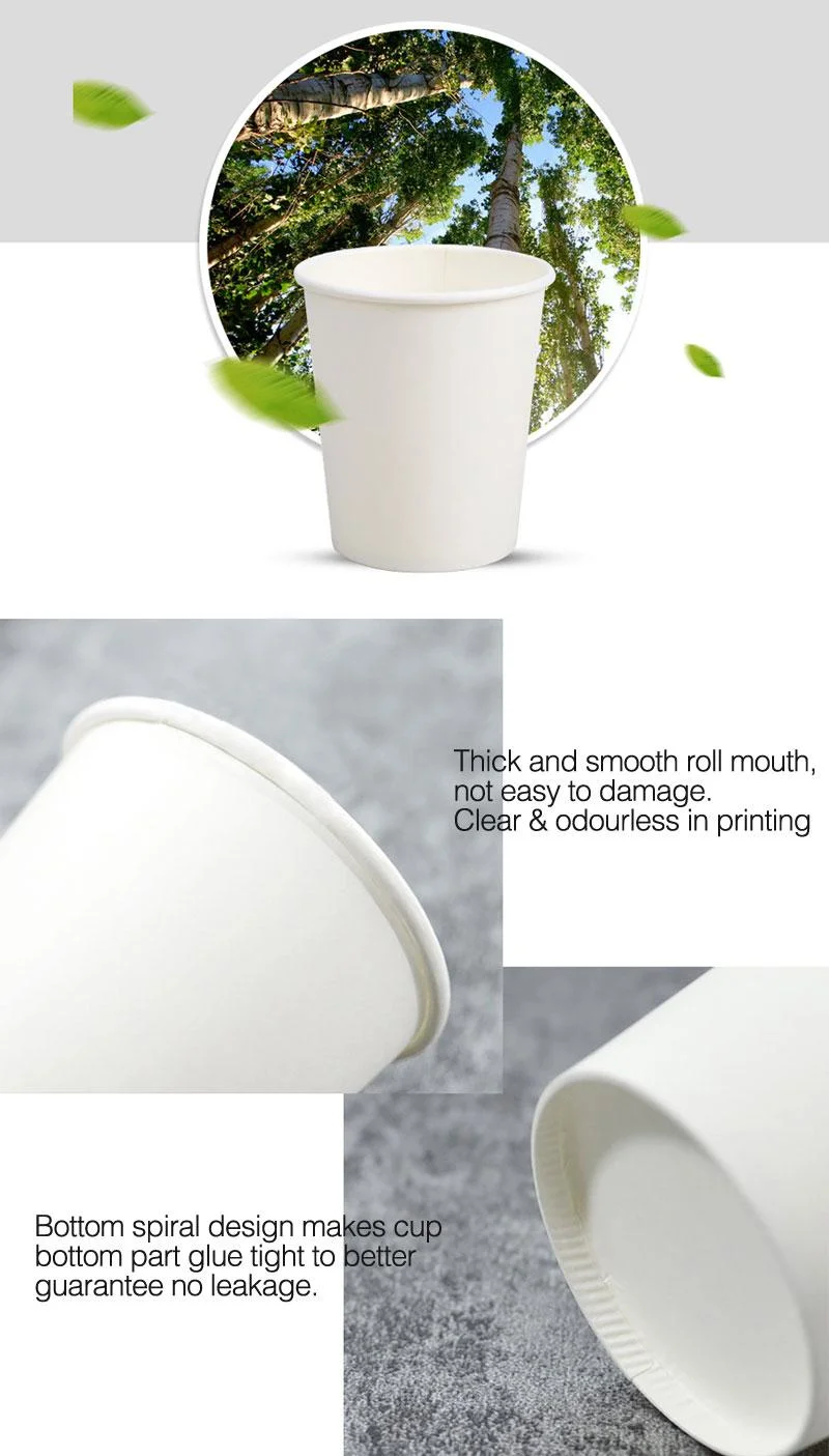 Compostable Disposable Biodegradable Coffee Cups PLA Coating Single Wall Paper Coffee Cups with Lid