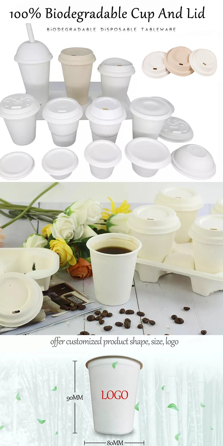 6 Oz Sauce Biodegradable Compostable Paper Bottom Disposable Cup with Straws and Lids
