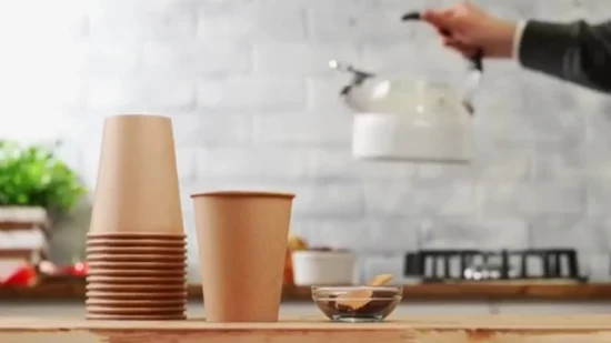 Bicchieri monouso in carta patinata compostabile doppia parete singola per caffè e tè caldi
